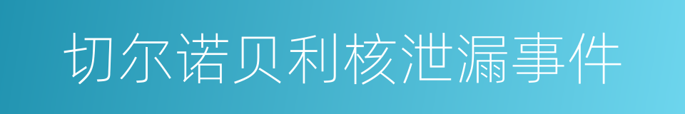 切尔诺贝利核泄漏事件的同义词