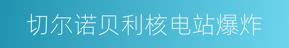 切尔诺贝利核电站爆炸的同义词