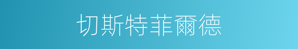 切斯特菲爾德的同義詞
