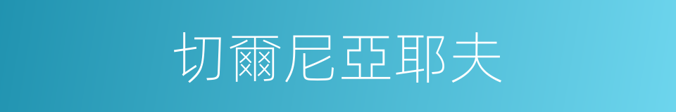 切爾尼亞耶夫的同義詞