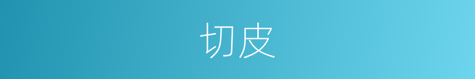 切皮的同义词