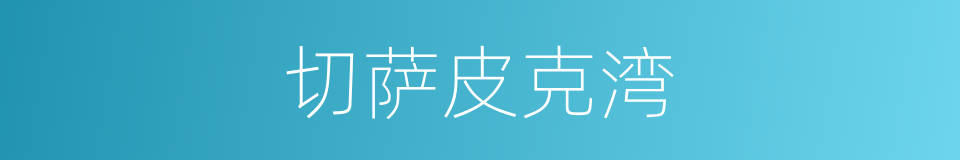 切萨皮克湾的同义词