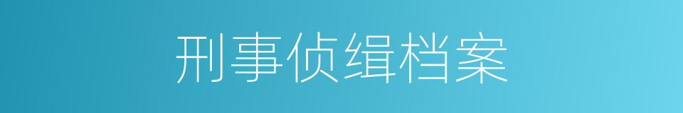 刑事侦缉档案的同义词