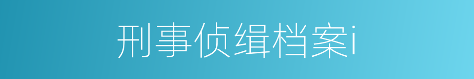刑事侦缉档案i的同义词