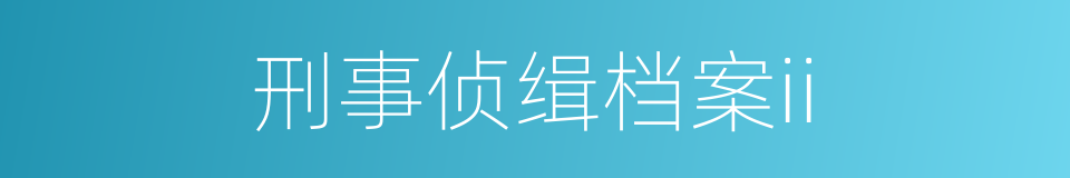 刑事侦缉档案ii的同义词