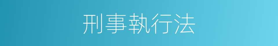 刑事執行法的同義詞