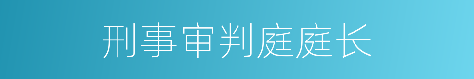 刑事审判庭庭长的同义词