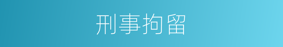 刑事拘留的意思