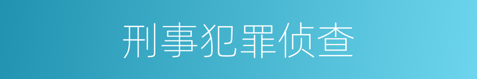 刑事犯罪侦查的同义词