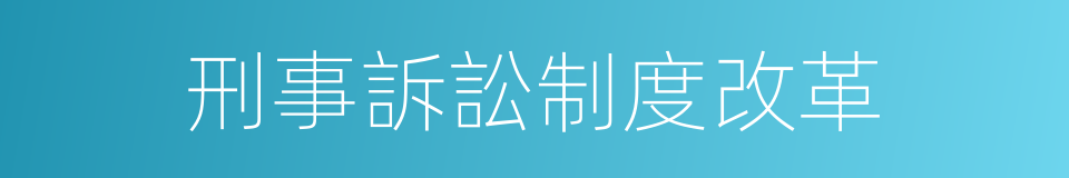 刑事訴訟制度改革的同義詞