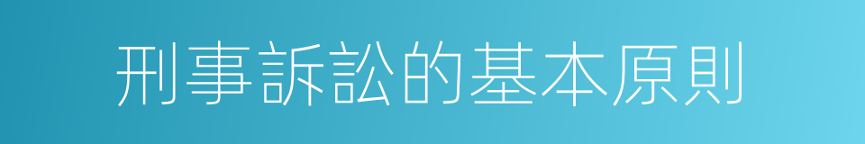 刑事訴訟的基本原則的同義詞