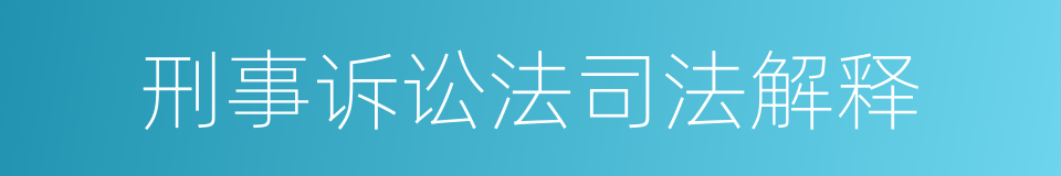 刑事诉讼法司法解释的同义词