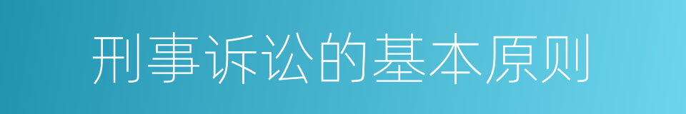 刑事诉讼的基本原则的同义词