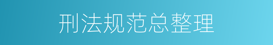 刑法规范总整理的同义词