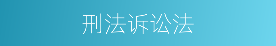 刑法诉讼法的同义词