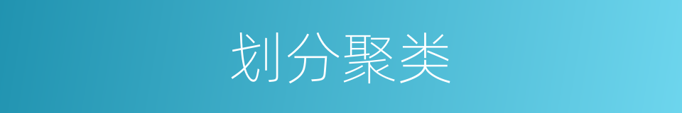划分聚类的同义词