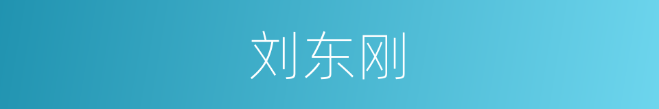 刘东刚的同义词