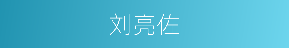 刘亮佐的同义词