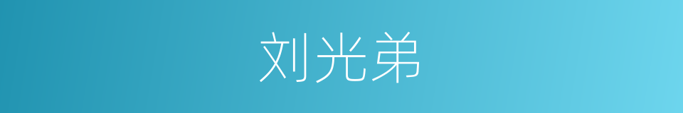 刘光弟的同义词