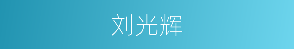 刘光辉的同义词