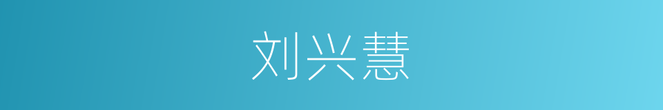 刘兴慧的同义词