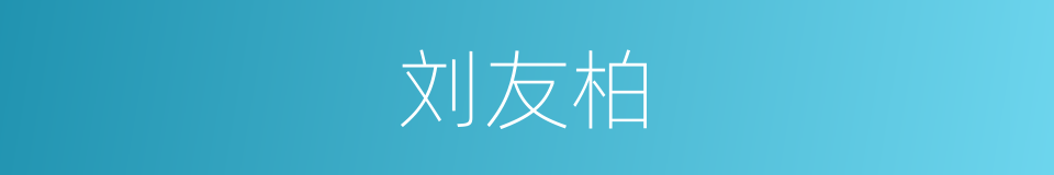 刘友柏的同义词