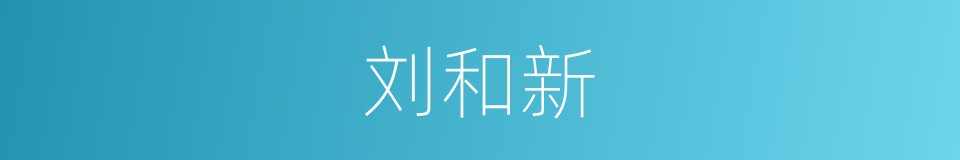 刘和新的同义词