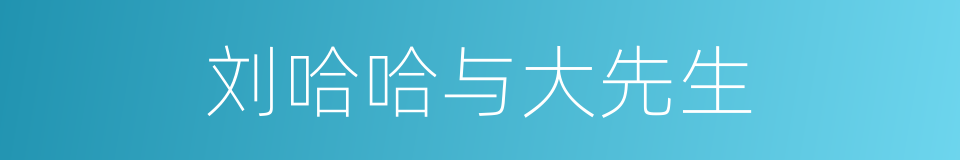 刘哈哈与大先生的同义词