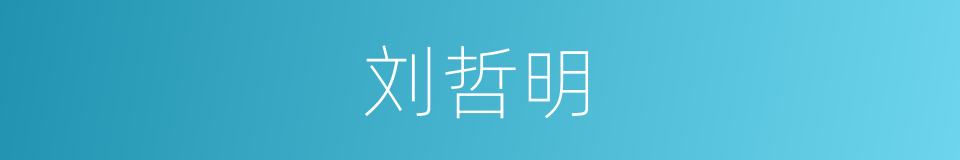 刘哲明的同义词