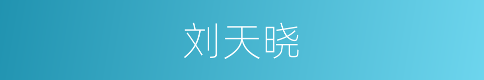 刘天晓的同义词