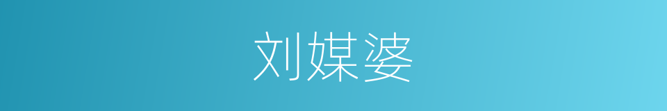 刘媒婆的同义词
