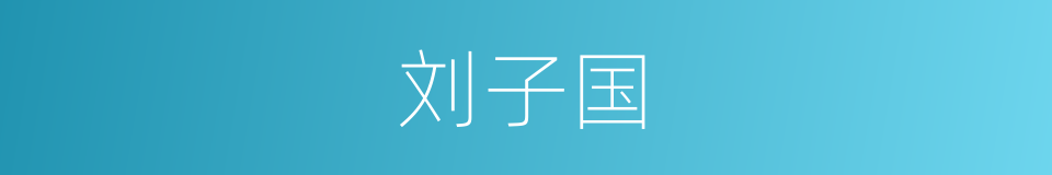 刘子国的同义词