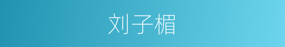 刘子楣的同义词