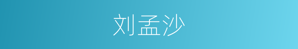 刘孟沙的同义词