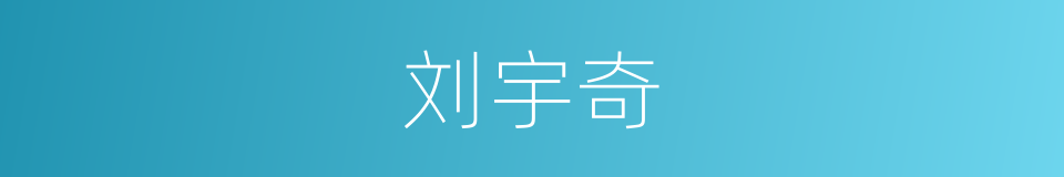 刘宇奇的同义词