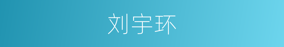 刘宇环的同义词