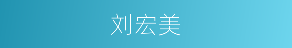刘宏美的同义词