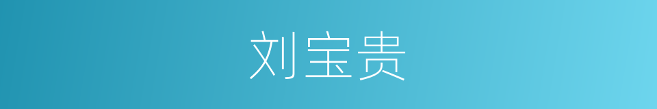 刘宝贵的同义词