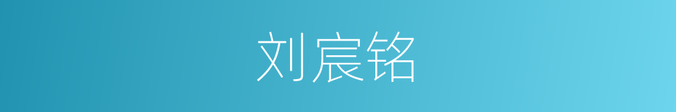 刘宸铭的同义词