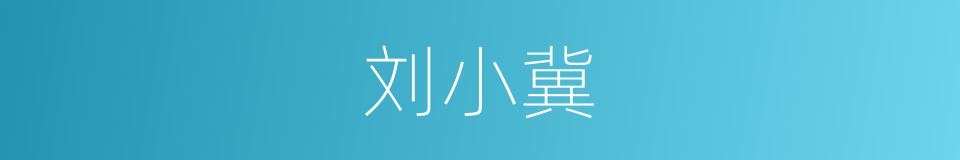 刘小冀的同义词