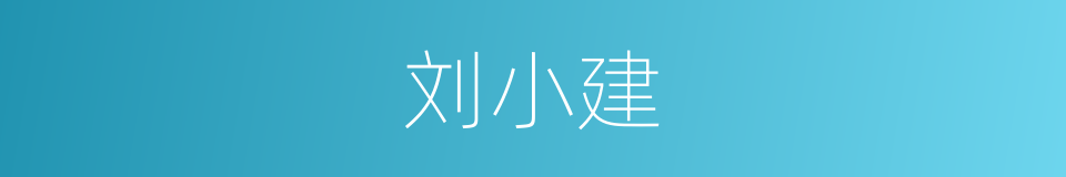 刘小建的同义词