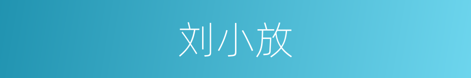 刘小放的同义词