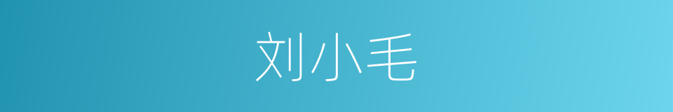 刘小毛的同义词
