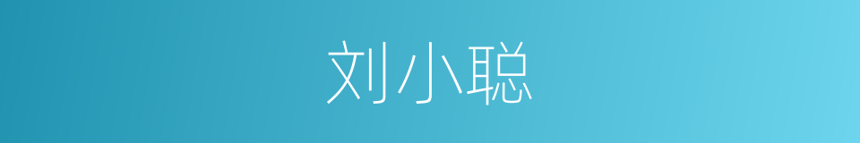 刘小聪的同义词