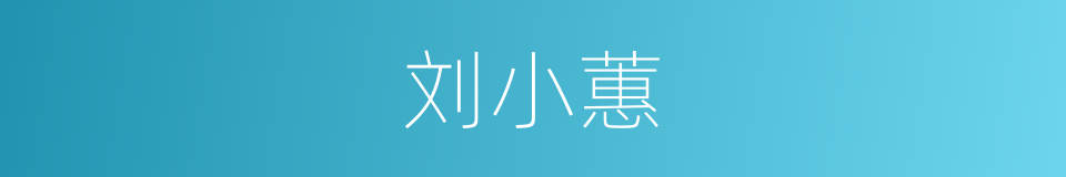 刘小蕙的同义词