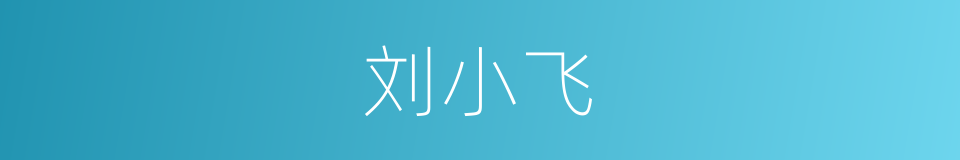 刘小飞的同义词