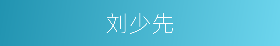 刘少先的同义词
