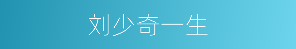 刘少奇一生的同义词