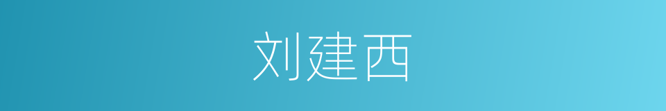 刘建西的同义词