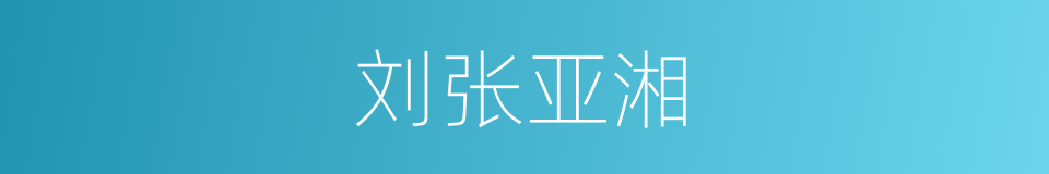 刘张亚湘的同义词